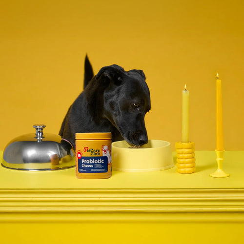Probiotic Chews - Más colitas moviéndose, menos estómagos inflamados.