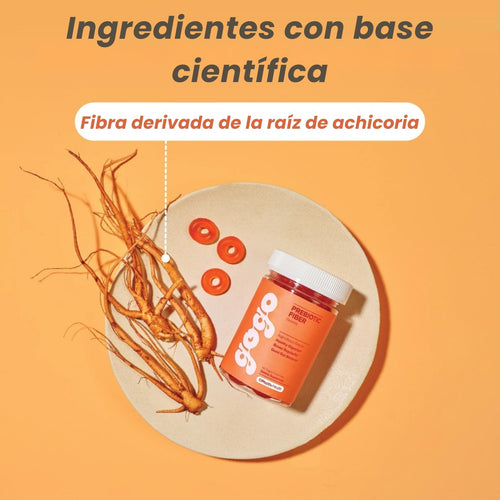 GOGO - Fibra de goma diaria para la salud intestinal digestiva