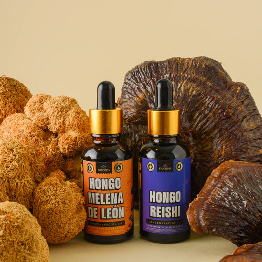 KIT TRANSFORMA TU VIDA 🍄 MELENA DE LEÓN + REISHI